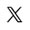 X icon
